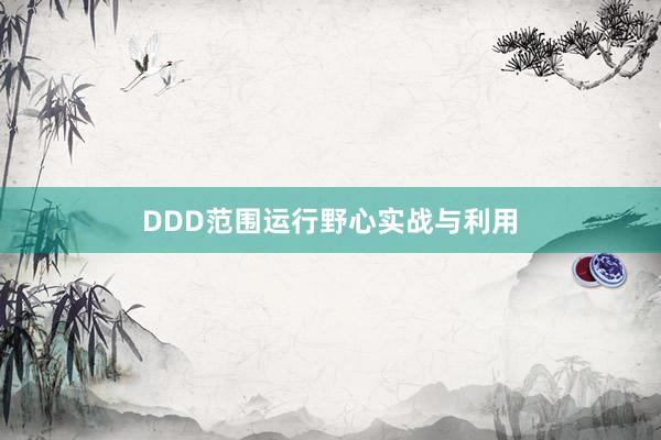 DDD范围运行野心实战与利用